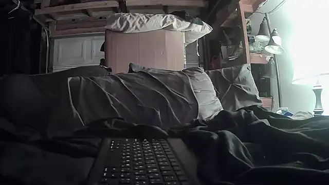 Tiggitytomociti webcam