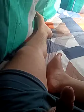 ConvoyedSubgroup webcam