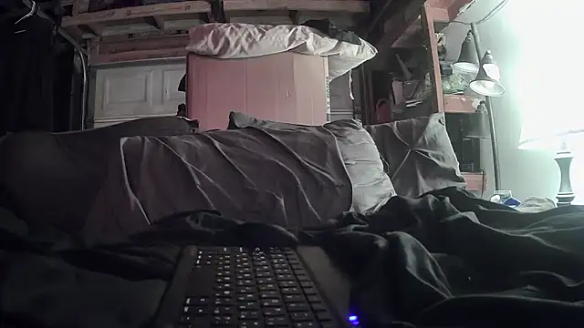 Tiggitytomociti webcam