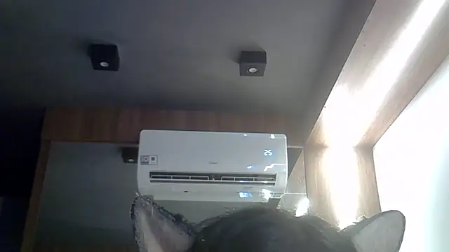 SkinnyKitten webcam