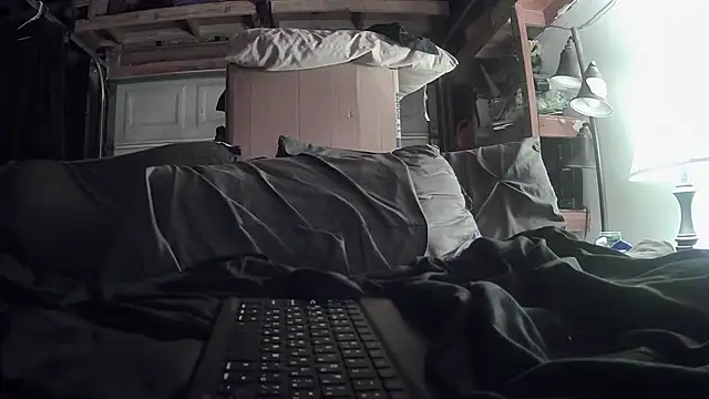 Tiggitytomociti webcam