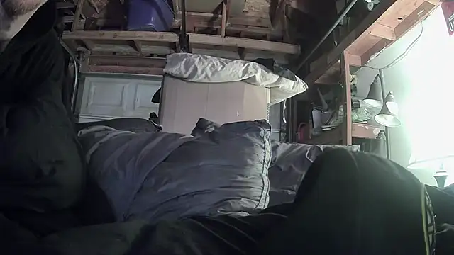 Tiggitytomociti webcam