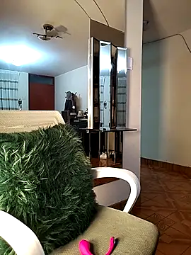 FallsForHerSmile webcam