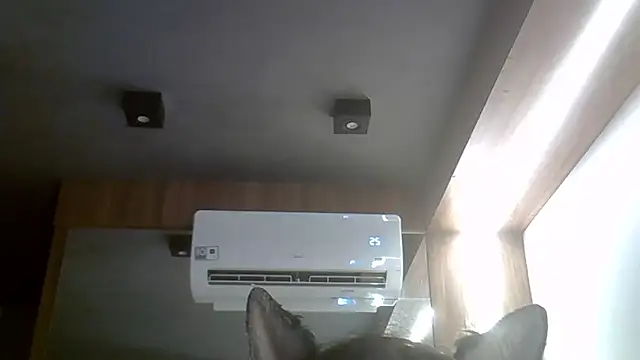 SkinnyKitten webcam