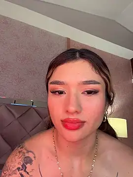 Arianavillada webcam