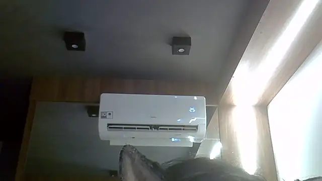 SkinnyKitten webcam