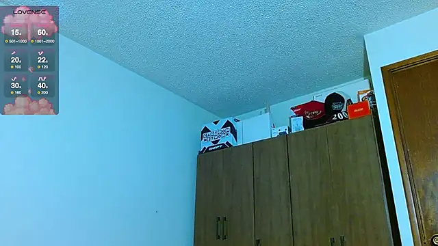 Hgp3riodictabl3 webcam