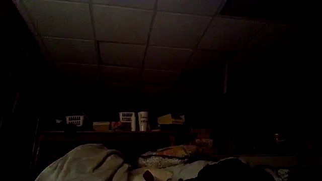 Takemeouttothedungen webcam