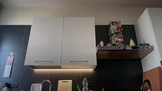 theitalianbear webcam