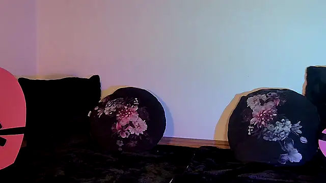 Vanillezucker webcam