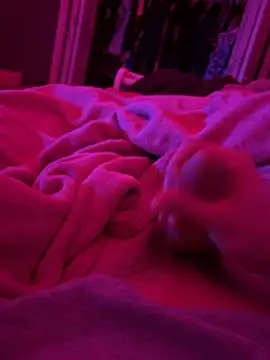 CollegeBull19 webcam