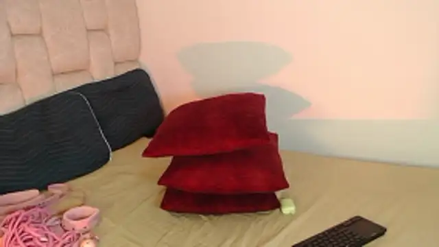 luna_stanford webcam