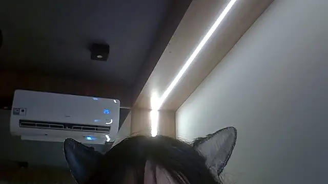 SkinnyKitten webcam