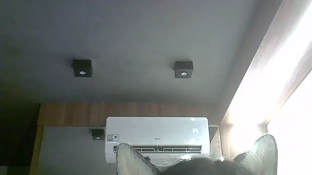 SkinnyKitten webcam