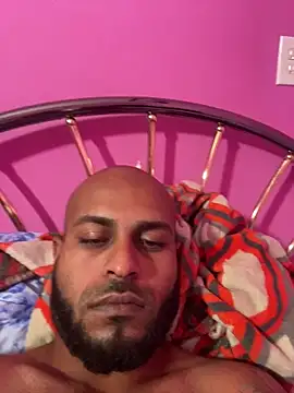 islandvybee55 webcam