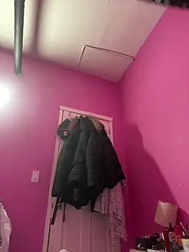 islandvybee55 webcam