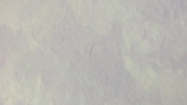 andrea_lopeez webcam