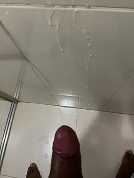 Paulistadosul webcam