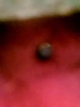 Hot_bhabhi300 webcam