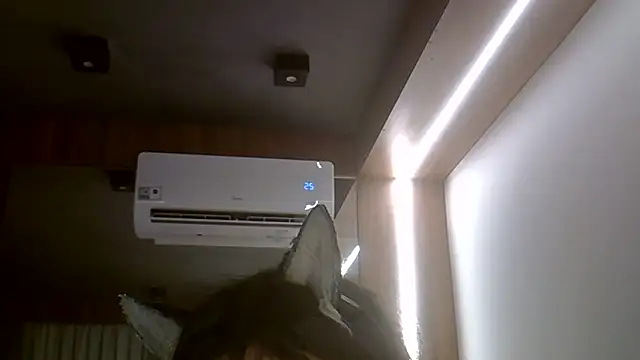 SkinnyKitten webcam