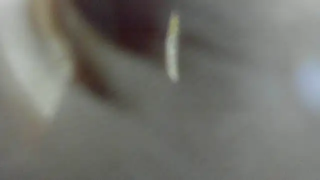 scarlett_barnes - Scarlett_Barnes's free webcam