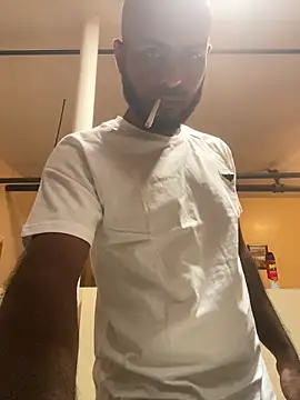 islandvybee55 webcam