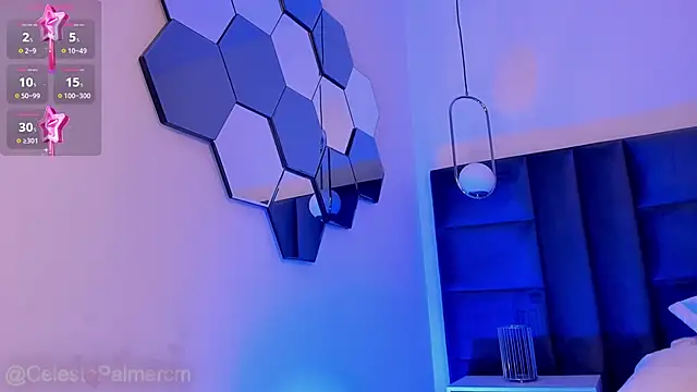 CelestePalmer_ webcam