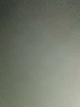 ShawnandDani7074 webcam