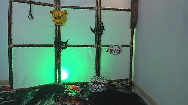 Greiz_SubKimura webcam