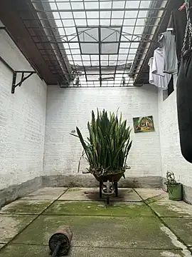 oliver_price1 webcam