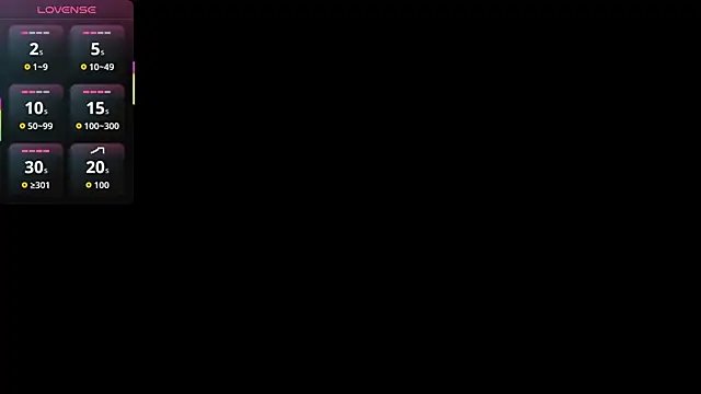 SanoraVillnave webcam