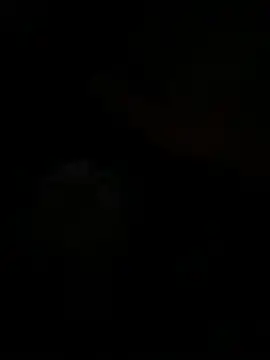 Daniel_cornel webcam