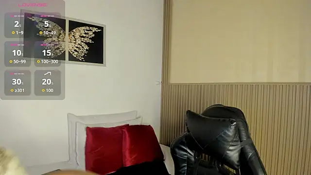 summer_night_ webcam