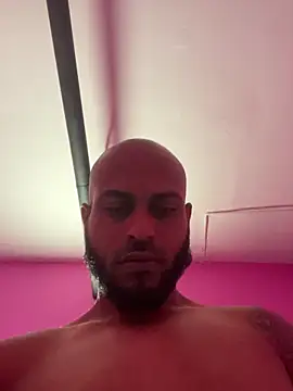 islandvybee55 webcam