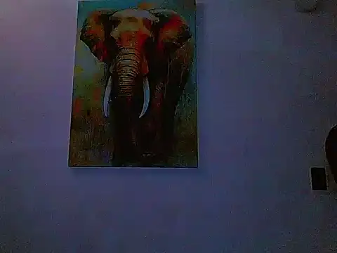 gabriel_spy12 webcam