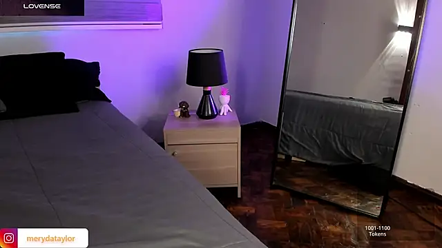 MERIDA_TAYLOR webcam