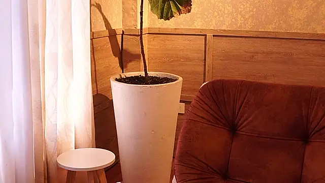 Ethan_occonor webcam