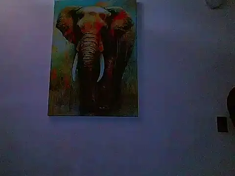 gabriel_spy12 webcam