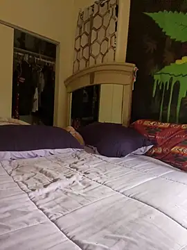 NiftyCaptain3 webcam