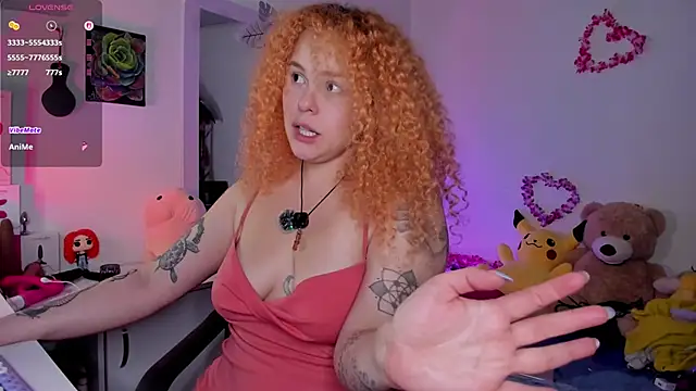 Alaska_colors7 webcam