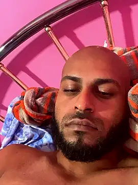 islandvybee55 webcam