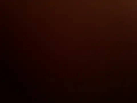 BruceIsHorny_ webcam