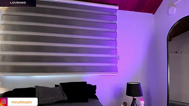 MERIDA_TAYLOR webcam
