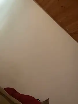 Michaell_Spinelly webcam