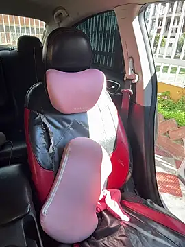 Scarlet_fiire webcam