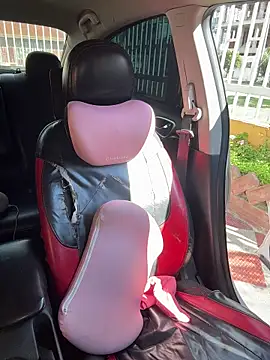 Scarlet_fiire webcam