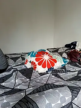 LEIRIS_Y_FRED_01 webcam