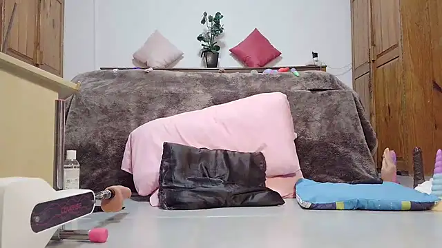 Hollbunny_Voxi webcam