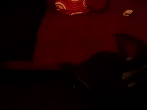 BEMYPROPERTYx webcam