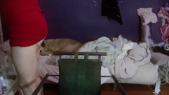 turkishTransEfsun webcam